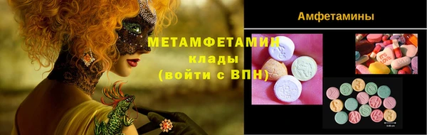 индика Абинск