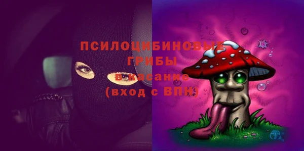 марки lsd Абаза