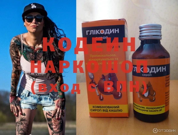 индика Абинск
