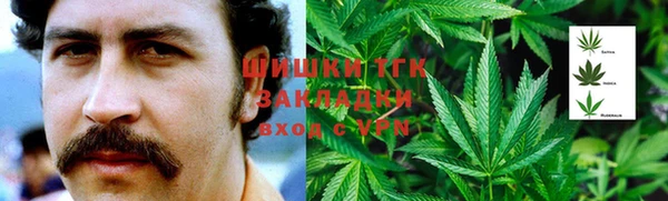 индика Абинск